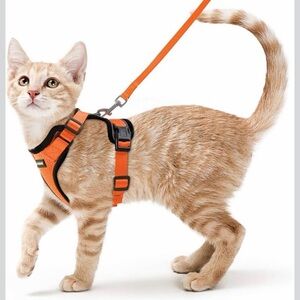 Rabbitgoo cat harness with leash and apple air tag
